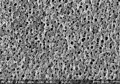 High flux submerged hollow fiber membrane cassette