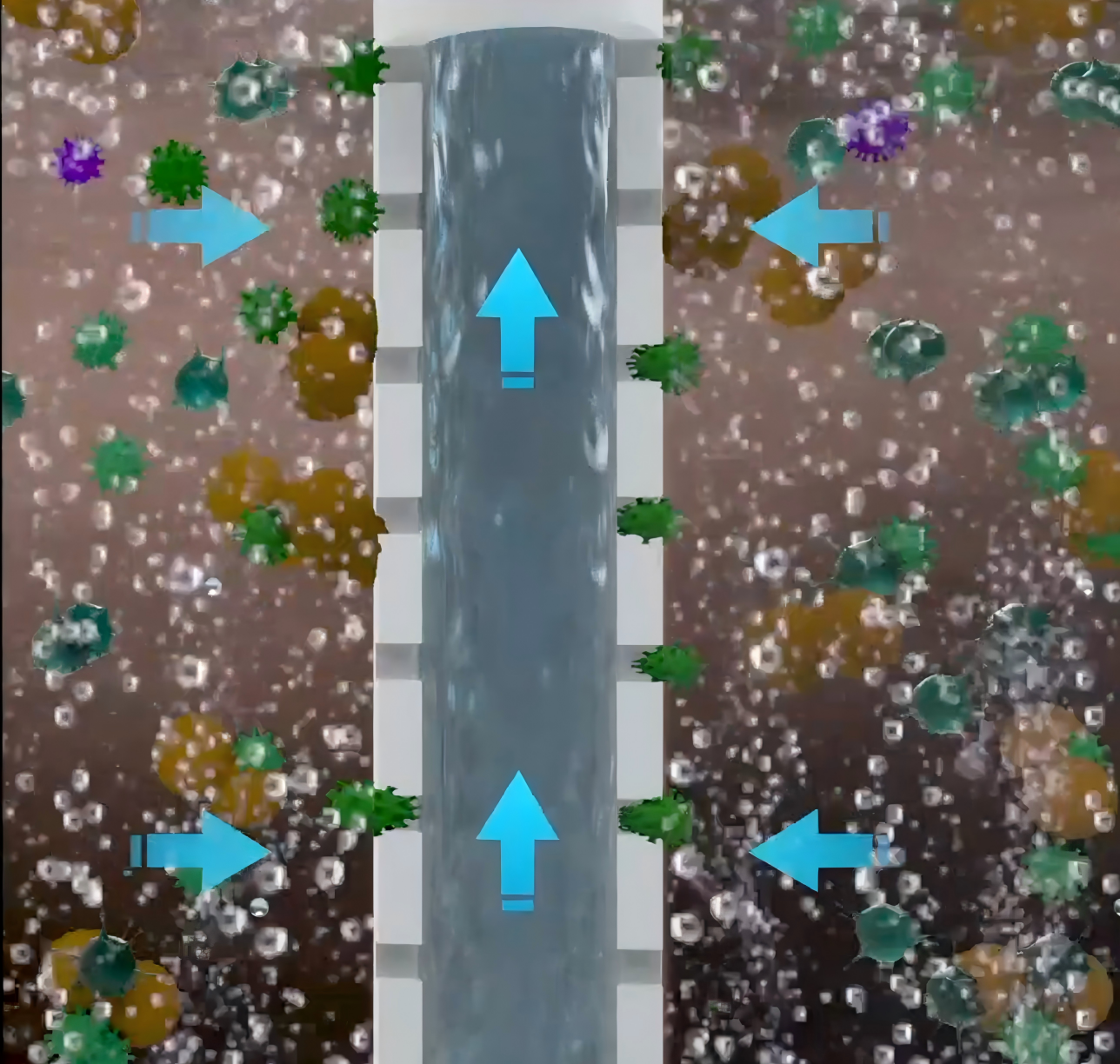 Membrane cassette maintenance and installation